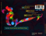 David Sylvian And Robert Fripp* : Darshan (CD, Single)