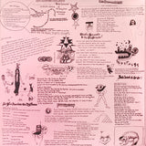 Ariel Pink : Pom Pom (2xLP, Album)