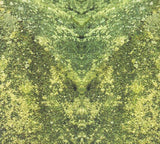 2 By Bukowski : Drink From My Bastard Grail (CD, Album)