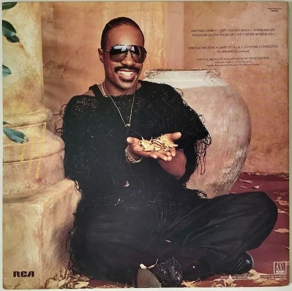 Stevie Wonder : In Square Circle (LP, Album, Gat)