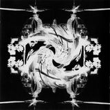 Techno Animal : Re-Entry (2xCD, Album)