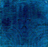 Santana : Borboletta (LP, Album)