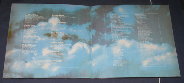 Peter Green (2) : In The Skies (LP, Album, Gat)