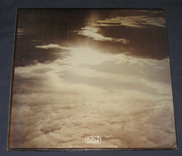 Peter Green (2) : In The Skies (LP, Album, Gat)
