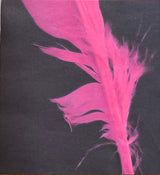מיכה שטרית* : מסמרים ונוצות (CD, Album)