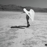 פורטיס* : תולדות הכותרת (LP, Album, Ltd, Num)