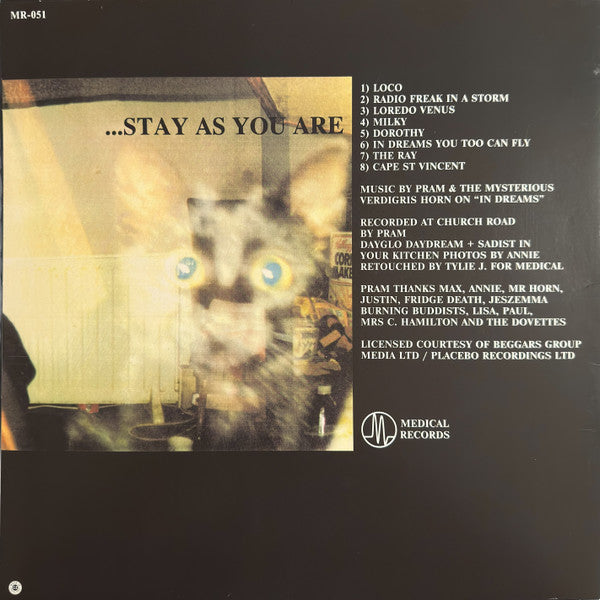 Pram : The Stars Are So Big The Earth Is So Small ...Stay As You Are (LP, Album, RE, 180)