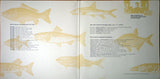 Ptôse Production* : Early Recordings 79-83 (2xLP, Comp, Ltd, Num)