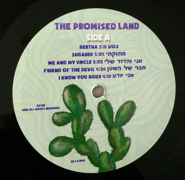 Sagol 59, Ami Yares : The Promised Land (LP, Album, Ltd)