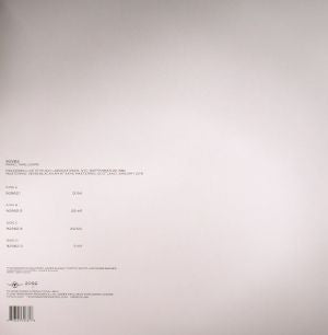 William Basinski : 92982 (2xLP, Album, Ltd, RE, RM)