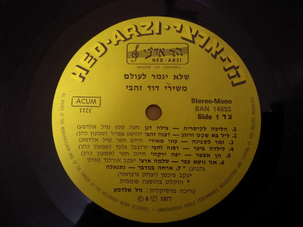 David Zehavi : שלא יגמר לעולם... משירי דוד זהבי (LP)