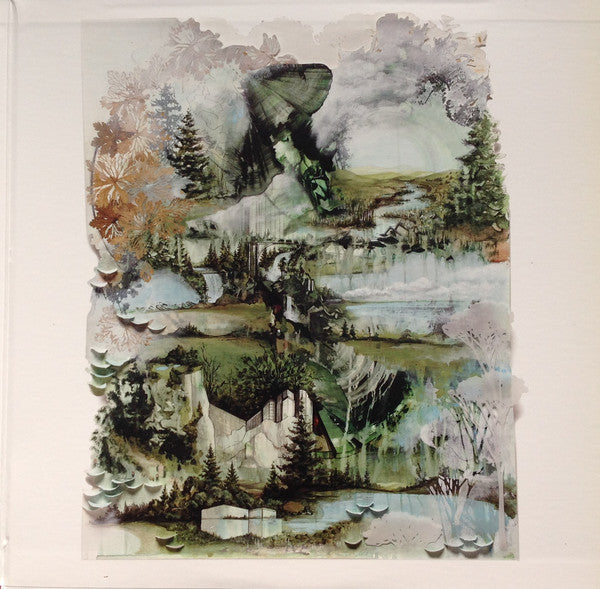 Bon Iver : Bon Iver, Bon Iver (LP, Album, RE, Gat)