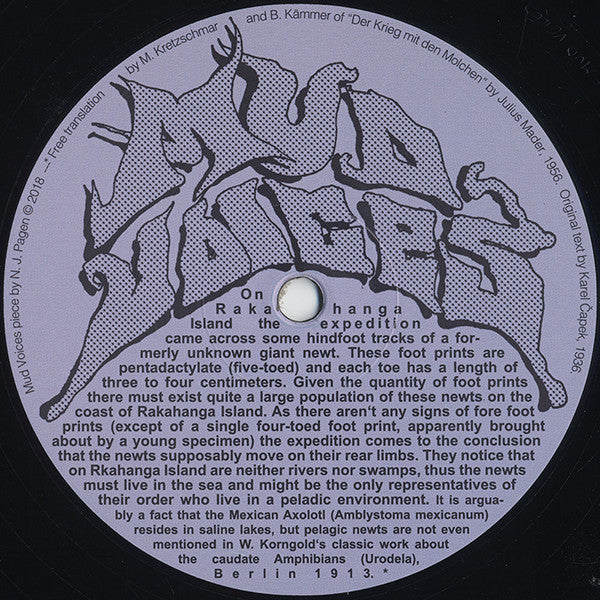 DJ Neewt : Mud Voices (12", EP)