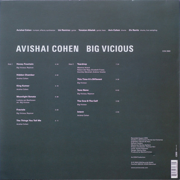 Avishai Cohen*, Big Vicious : Big Vicious (LP, Album)