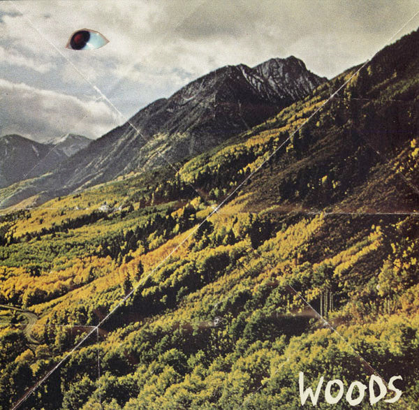 Woods (2) : Songs Of Shame (LP, Album, Ltd)