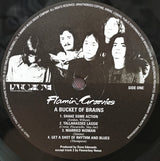 The Flamin' Groovies : I'll Have A ... Bucket Of Brains (The Original 1972 Rockfield Recordings For U.A.) (10", Comp, Ltd)