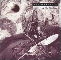 David Sylvian : Secrets Of The Beehive (LP, Album)