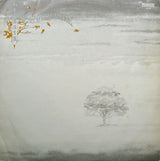 Genesis : Wind & Wuthering (LP, Album)