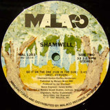 Joe Shamwell : Do It On The One (Fun In The Sun) (12")