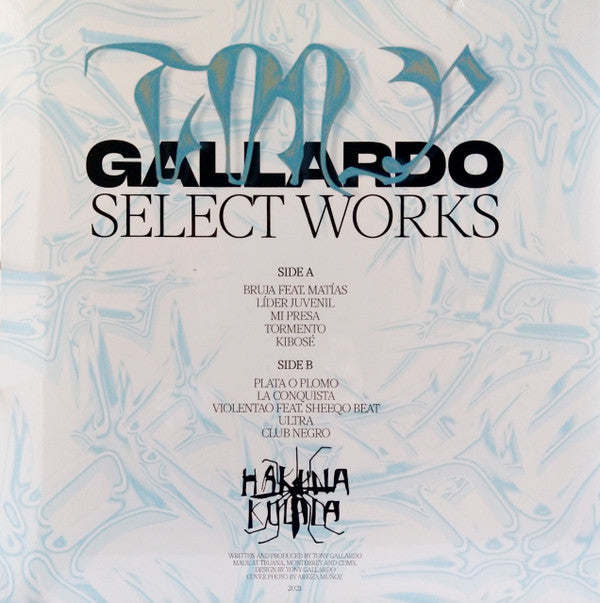 Tony Gallardo : Selected Works (LP, Comp, Ltd, Mag)