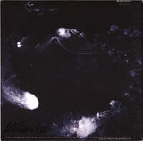 Swans : My Father Will Guide Me Up A Rope To The Sky (LP, Album)