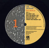 Joe Jackson : Big World (Album + LP + LP, S/Sided)