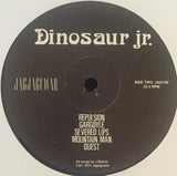 Dinosaur Jr. : Dinosaur (LP, Album, RE)