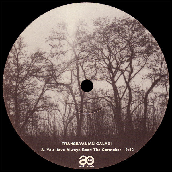 Transilvanian Galaxi : You Have Always Been The Caretaker (12")