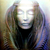 Emerson, Lake & Palmer : Brain Salad Surgery (LP, Album, SRC)