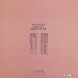 Unknown Mortal Orchestra : II (LP, Album)