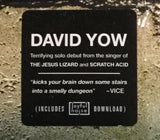 David Yow : Tonight You Look Like A Spider (LP, Album)