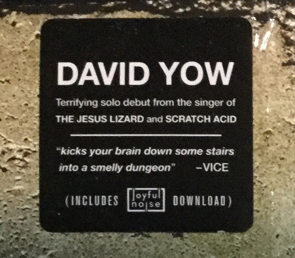 David Yow : Tonight You Look Like A Spider (LP, Album)