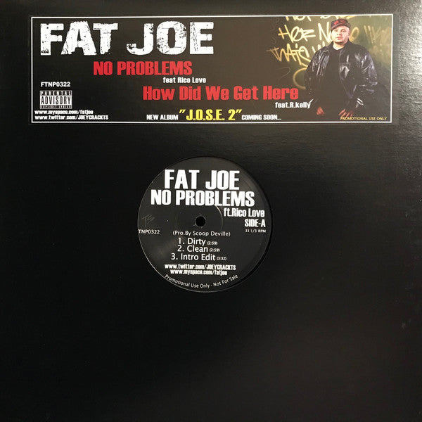 Fat Joe : No Problems / How Did We Get Here (12", Promo)